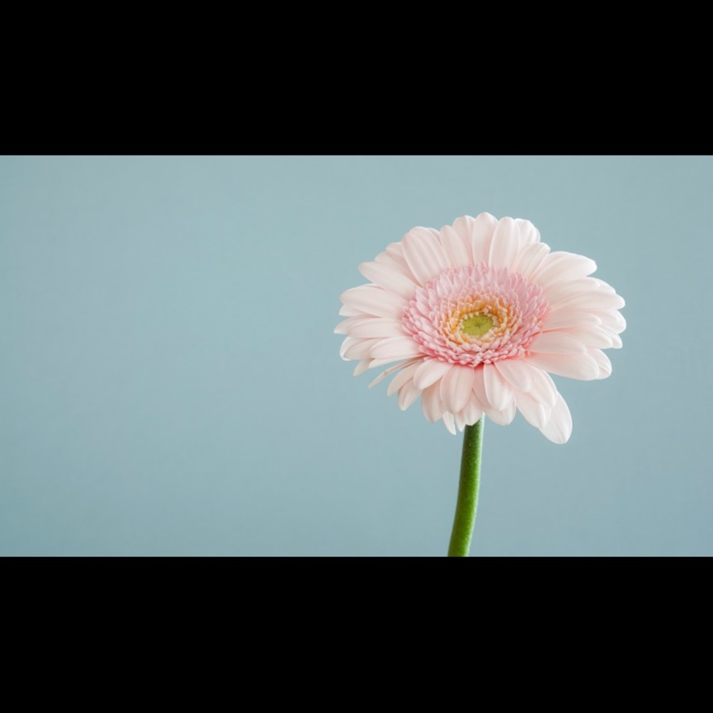 Meet your Posher, Lupita